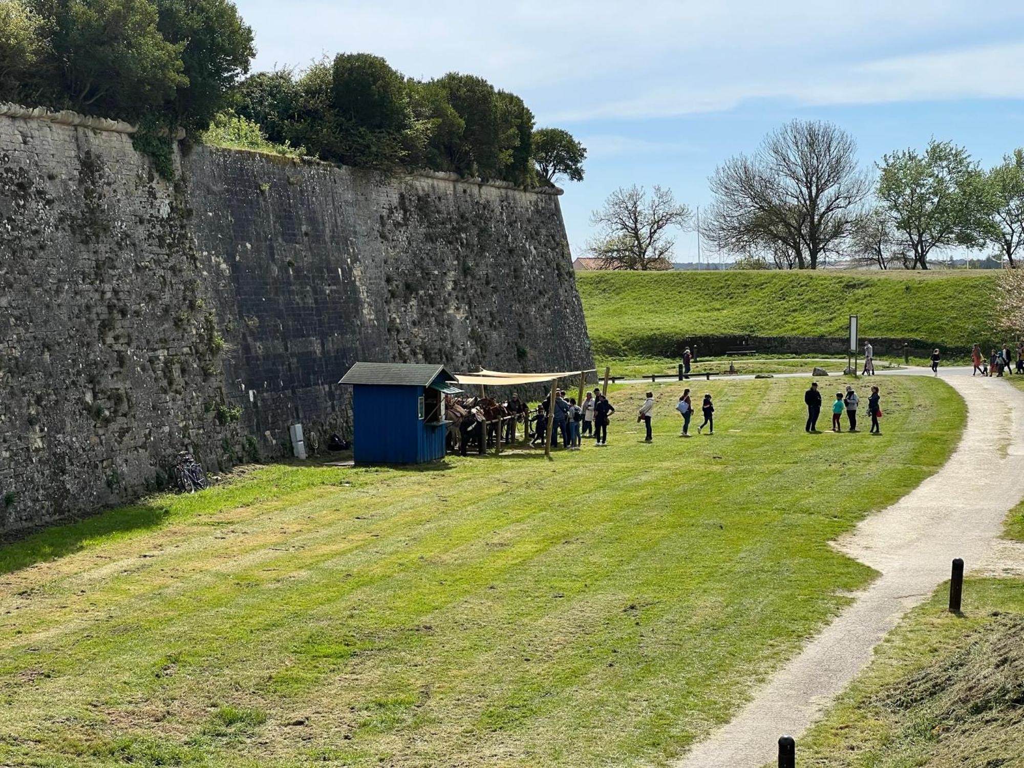 Les Amareyeurs - Ile D'Oleron - Maison Classee 3 Etoiles Avec Piscine - Clim - Velos Le Château-dʼOléron 外观 照片